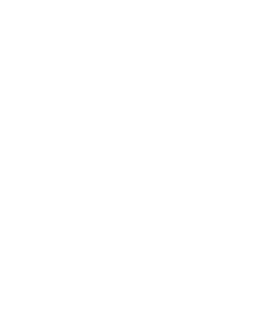 AI1 Academy Logo