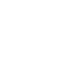 AI1 Aesthetics Logo
